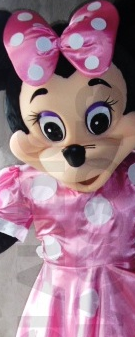 Pittsburgh Costumed Characters